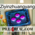 Ziyinzhuangyang 04